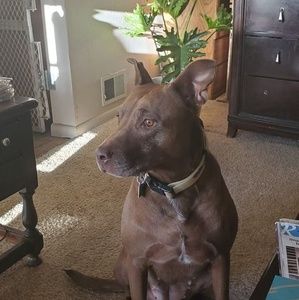 Meet your Posher, Christina